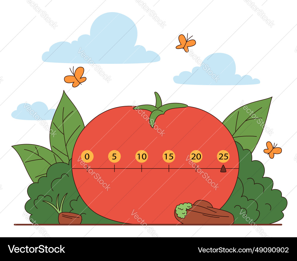 Pomodoro timer for time management Pomodoro timer for time management vector image