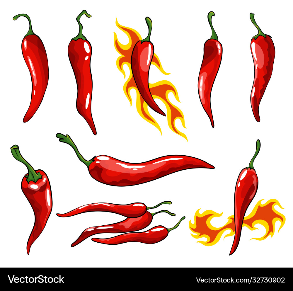Sammlung handgezogen Chili Paprika super heiß Sammlung handgezogen Chili Paprika super heiß vektorbild