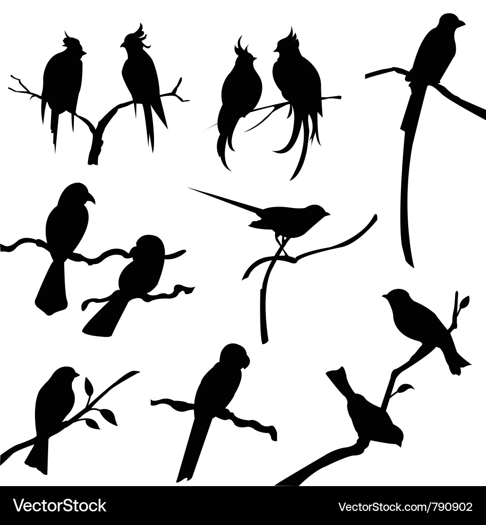Vogel Silhouetten Sammlung Vektorbild