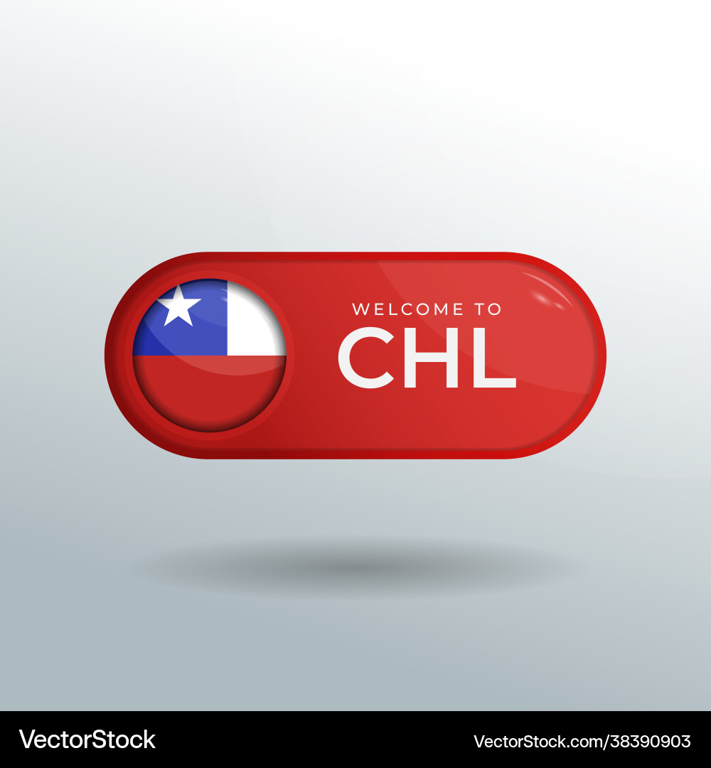 3d label and location pointer flag nation 3d label and location pointer flag nation vector image
