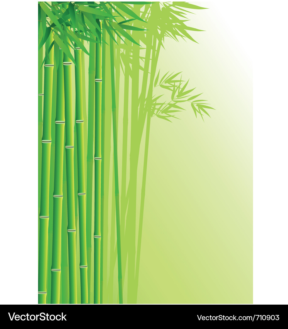 Bamboo forest background Royalty Free Vector Image