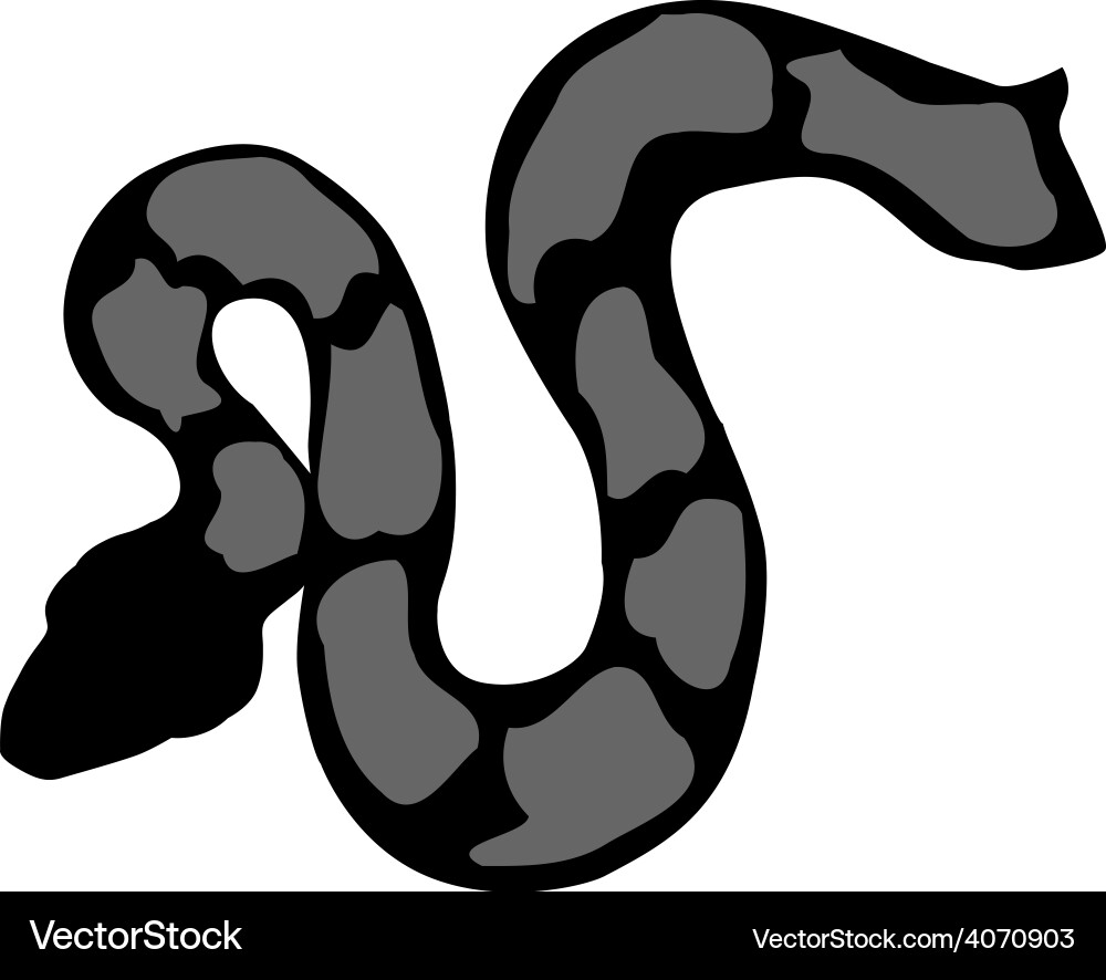 Python vector image