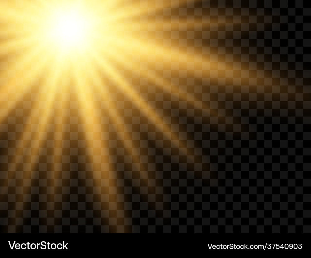 Sunlight on a transparent background Royalty Free Vector