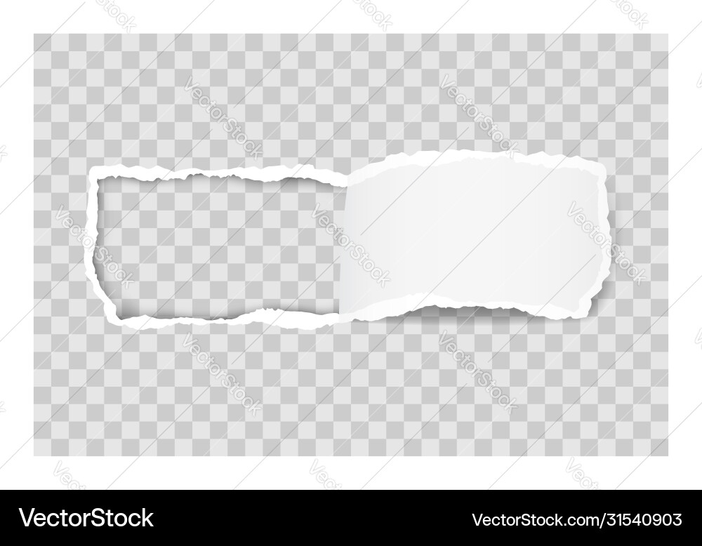 Torn paper edge for design with transparent space Torn paper edge for design with transparent space Vector Image