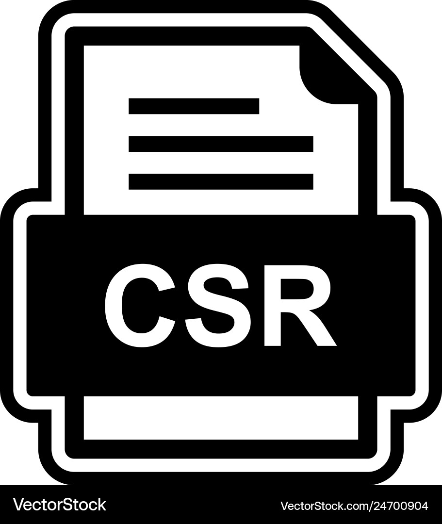 Csr file document icon vector image