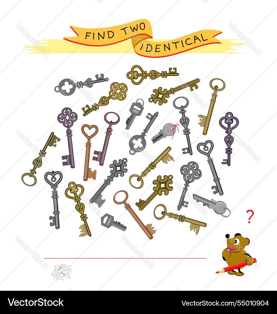 Find the Two Keys - Puzzle Game vector image