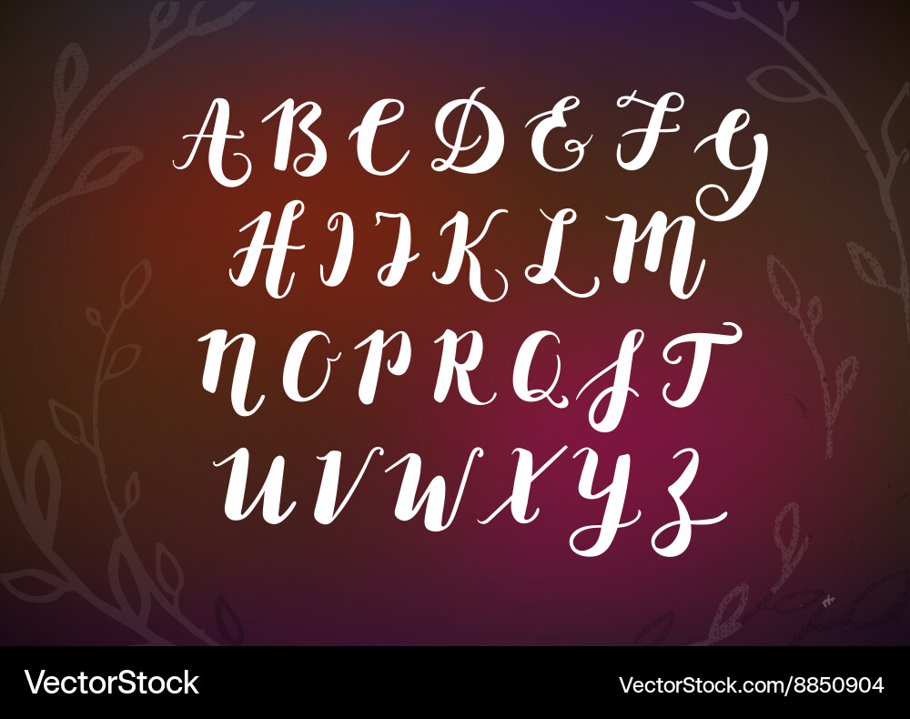 Hand drawn script alphabet letters written vector image