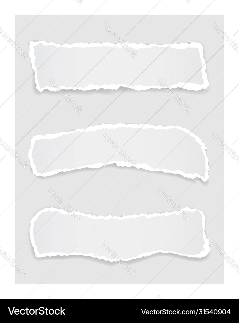 Torn paper edge for design with transparent space Vector Image