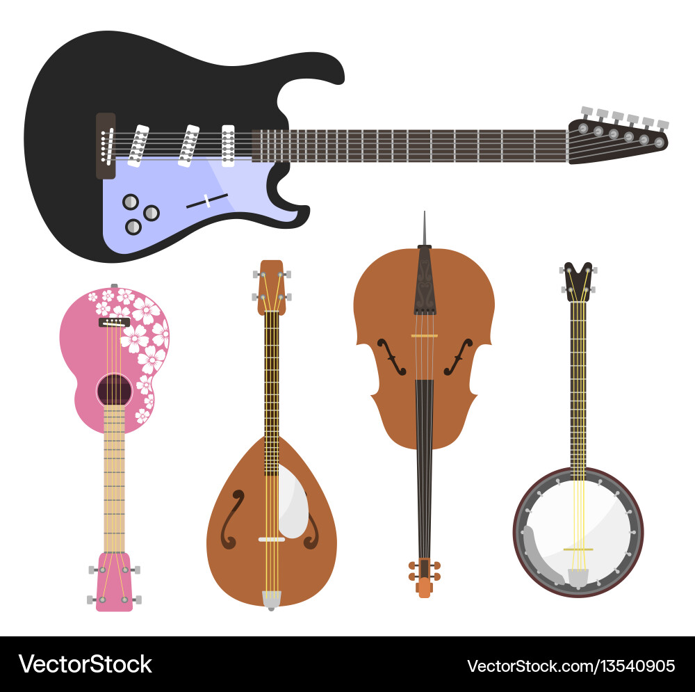 Set of stringed musical instruments classical Set of stringed musical instruments classical vector image