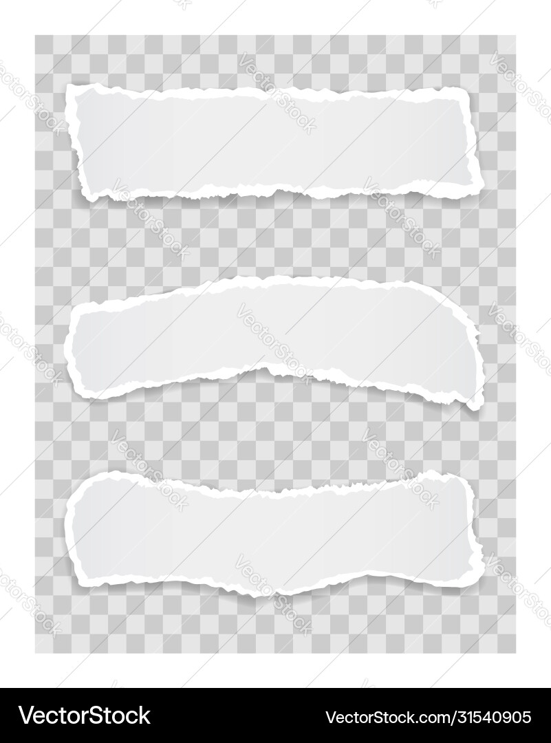 Torn paper edge for design with transparent space Torn paper edge for design with transparent space vector image