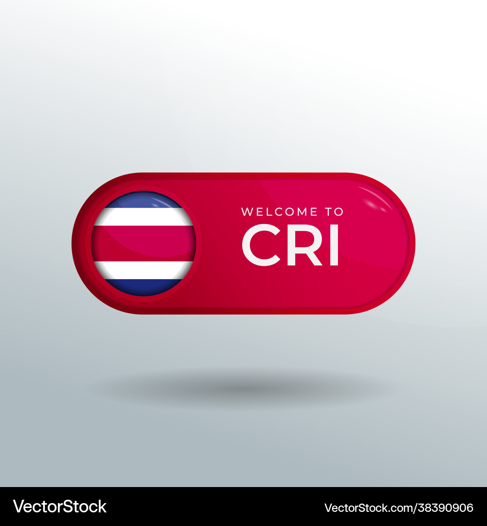 3d label and location pointer flag nation 3d label and location pointer flag nation vector image