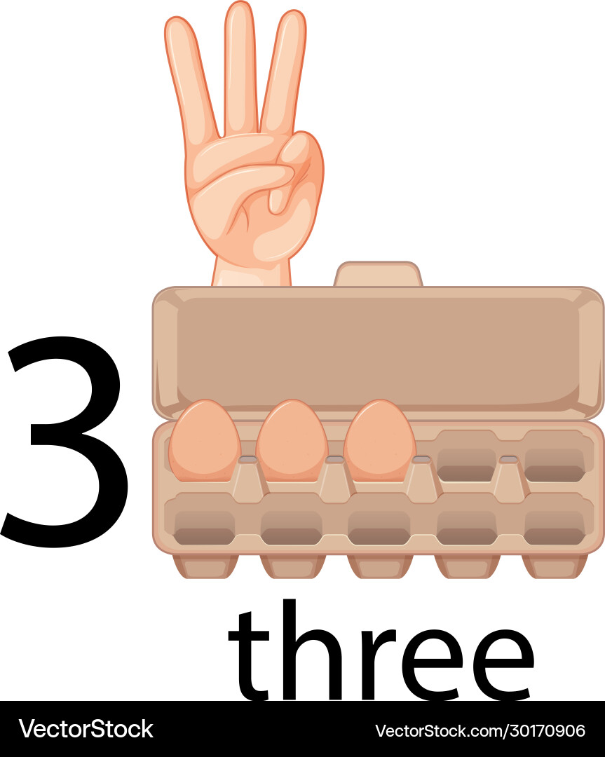 Counting number three with eggs in carton Counting number three with eggs in carton Vector Image