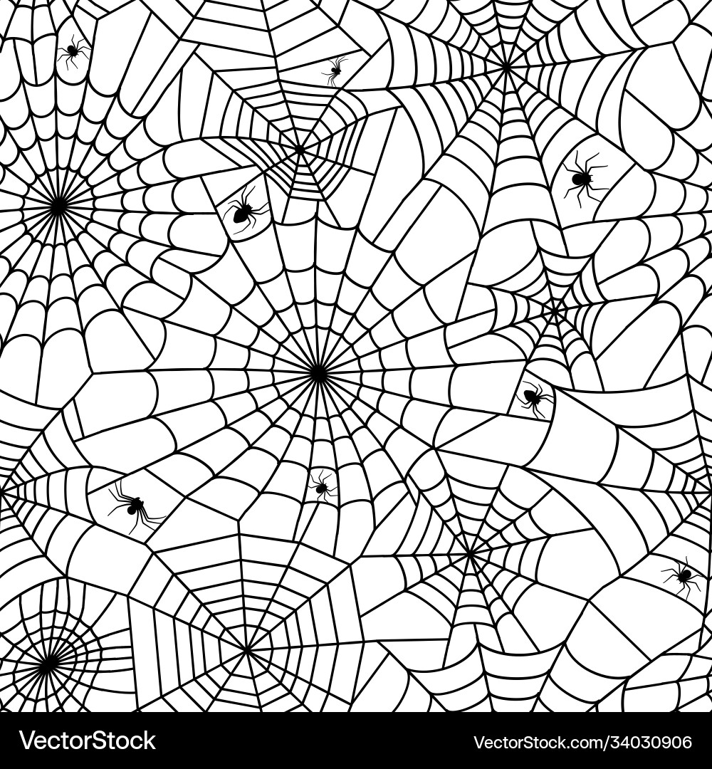 Spooky Spiderweb Pattern vector image