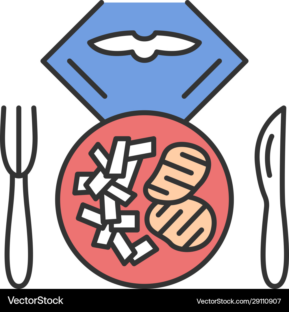 Flight lunch color icon Flight lunch color icon vector image