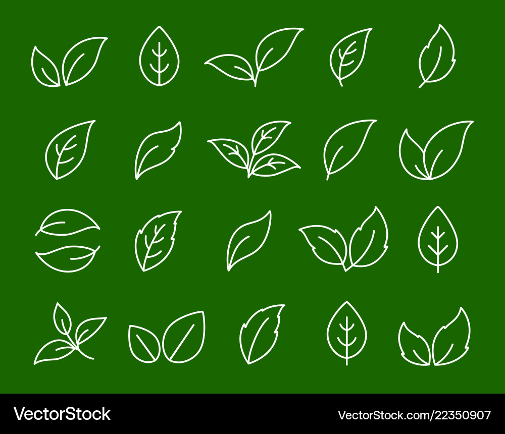 Hand gezeichneter Satz von linearen weißen Blatt Icons Hand gezeichneter Satz von linearen weißen Blatt Icons vektorbild