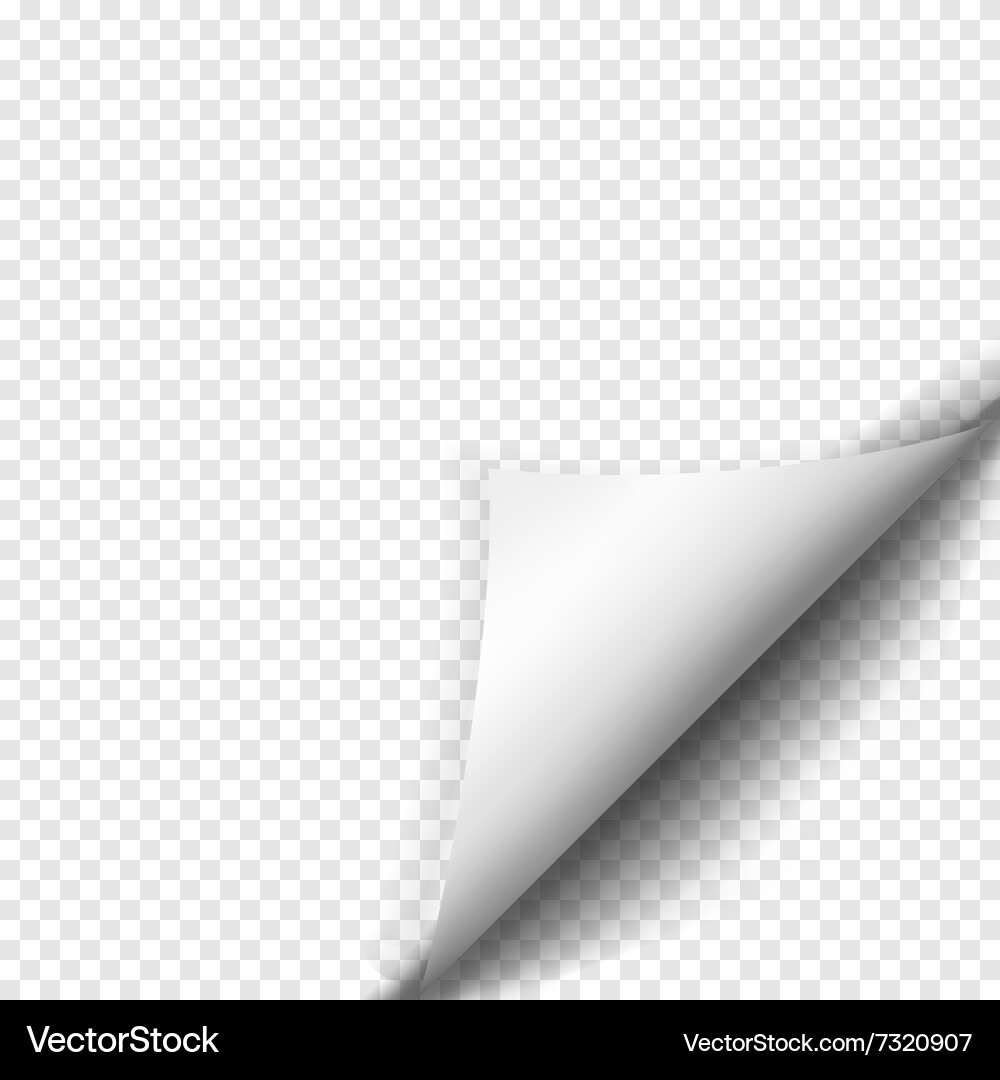 Page curl with shadow on blank sheet of paper Vector Image