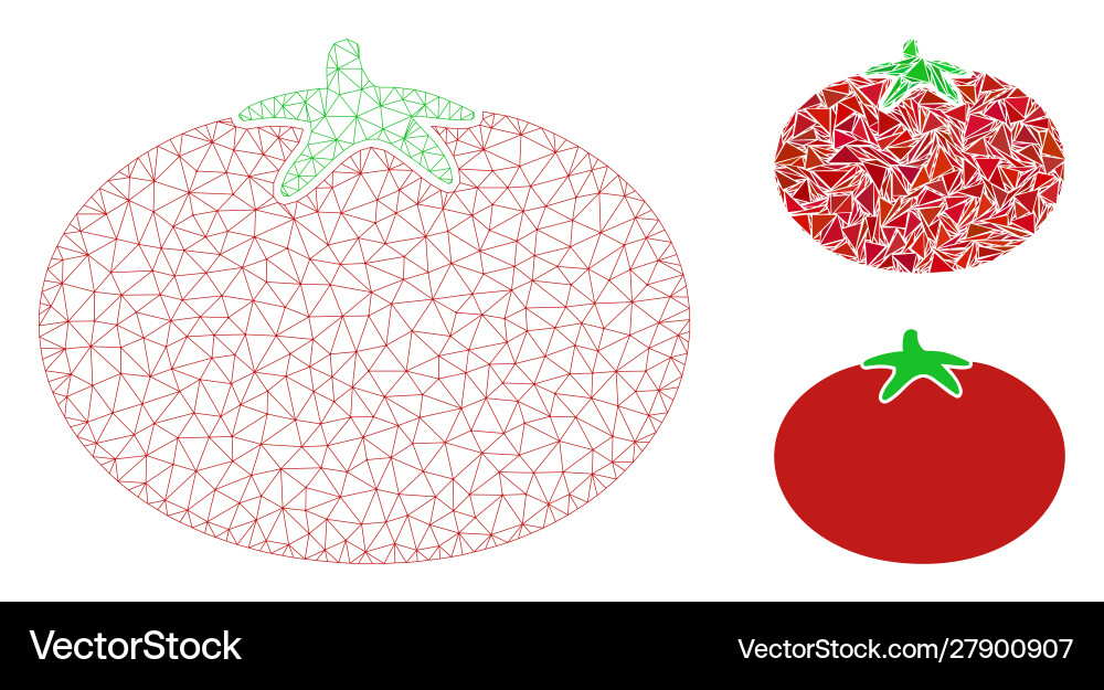 Tomato mesh wire frame model and triangle Vector Image