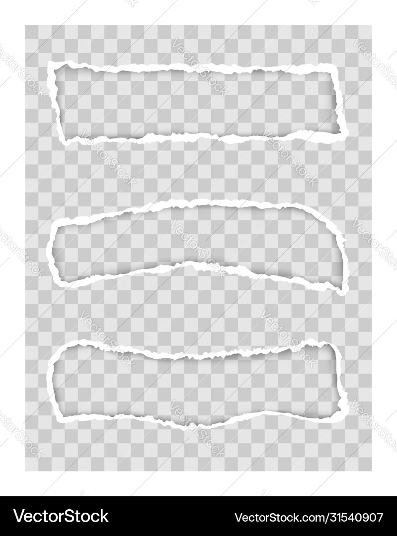 Torn paper edge for design with transparent space Vector Image