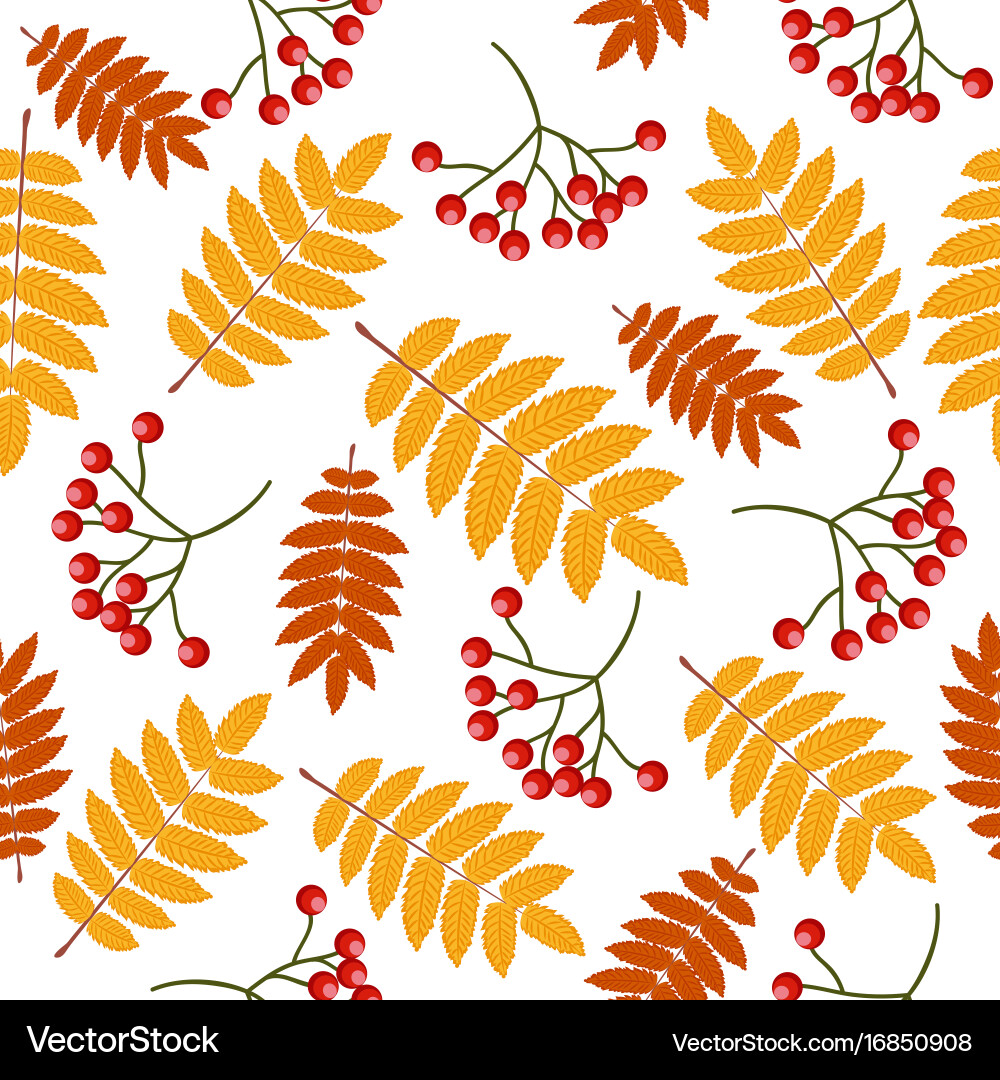 Autumn seamless pattern with rowan vector image