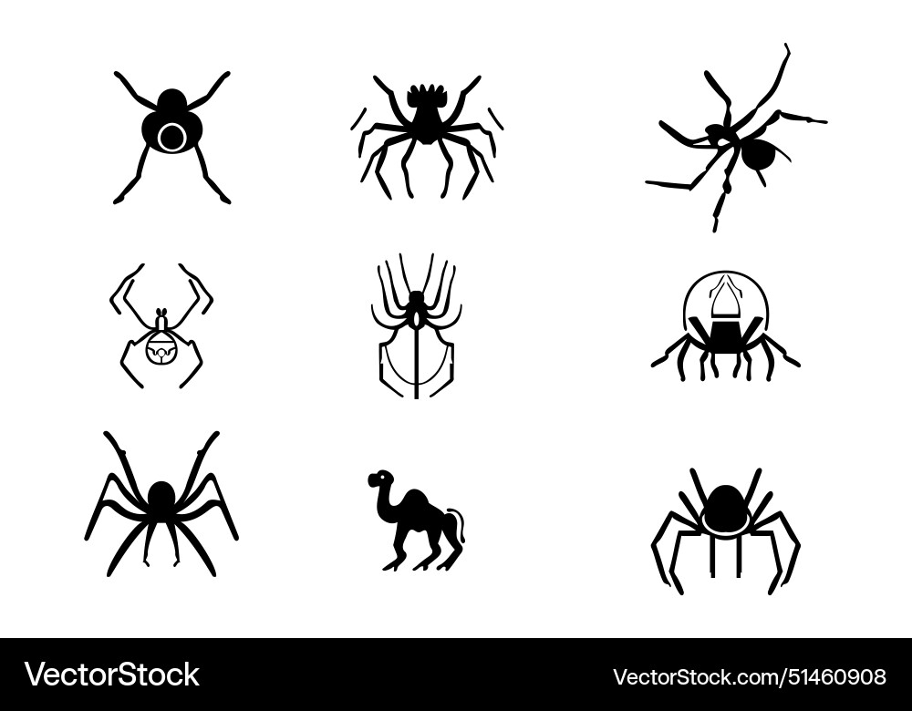 Minimal style camel spider icon design Vector Image