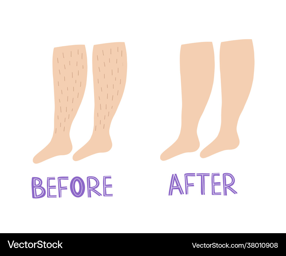 Web Web vector image