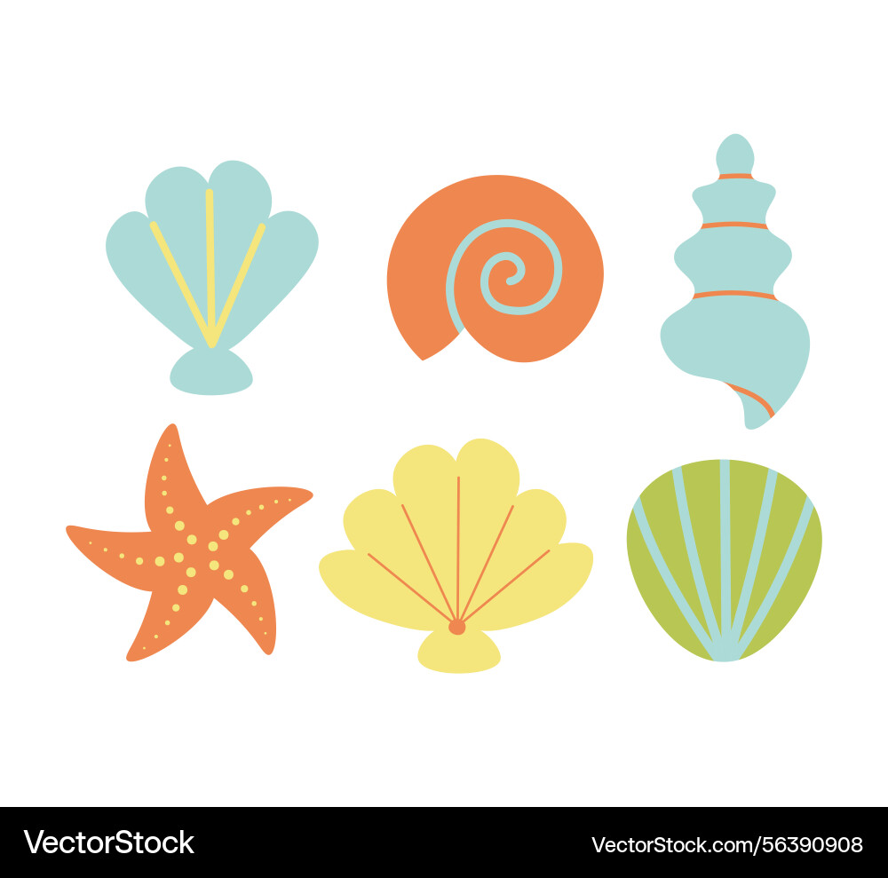 With textured shells vector image