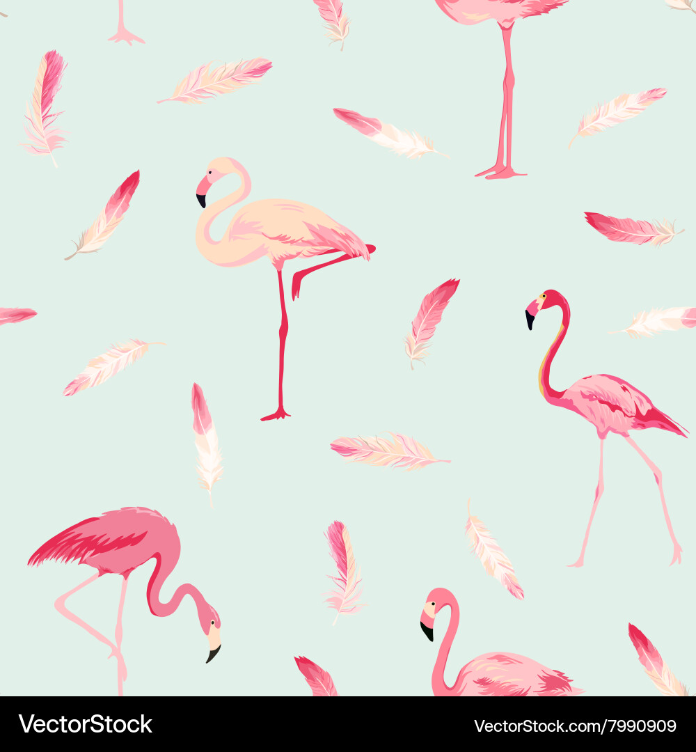 Flamingo Feather Seamless Pattern vector image