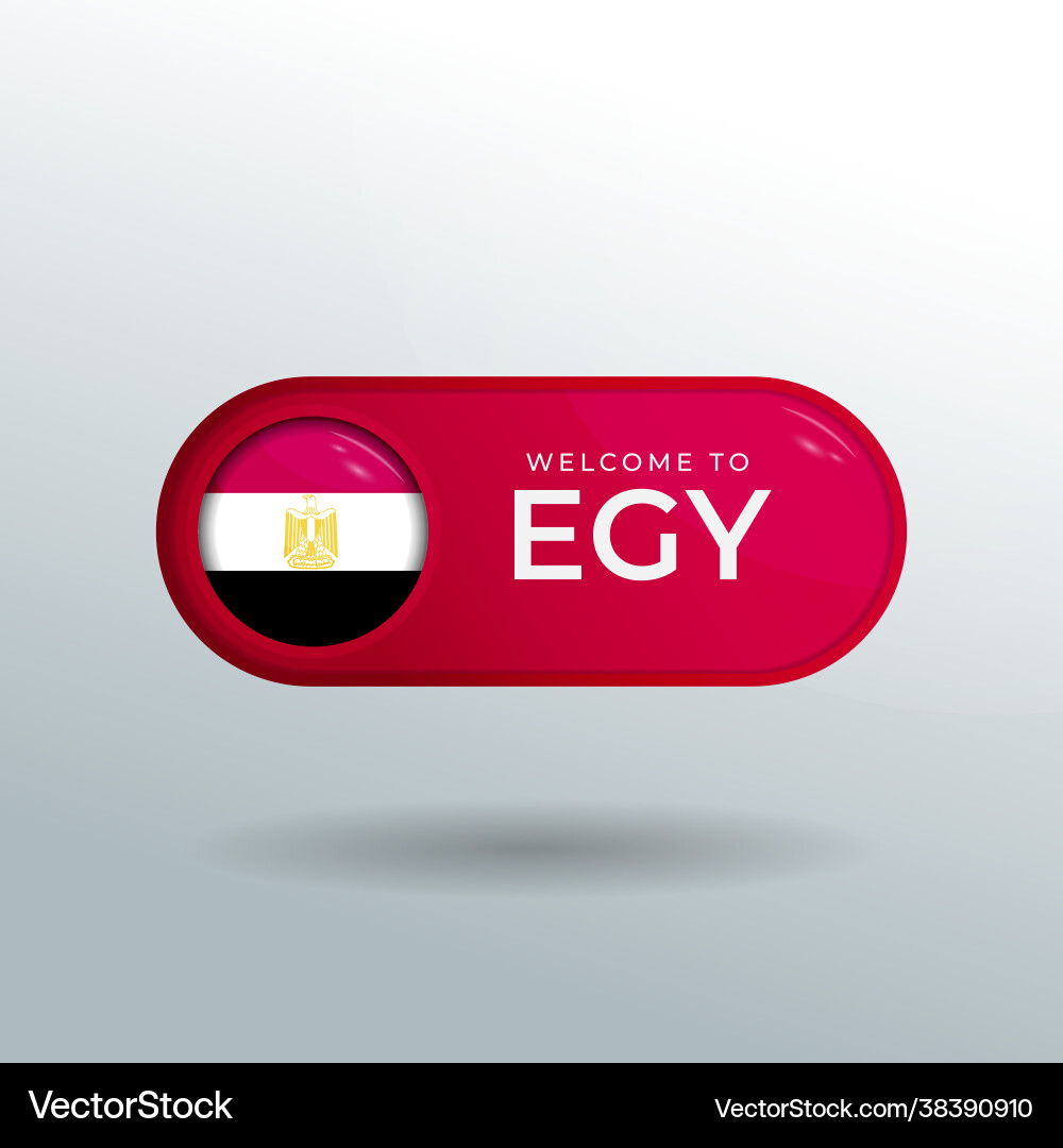 3d label and location pointer flag nation 3d label and location pointer flag nation vector image