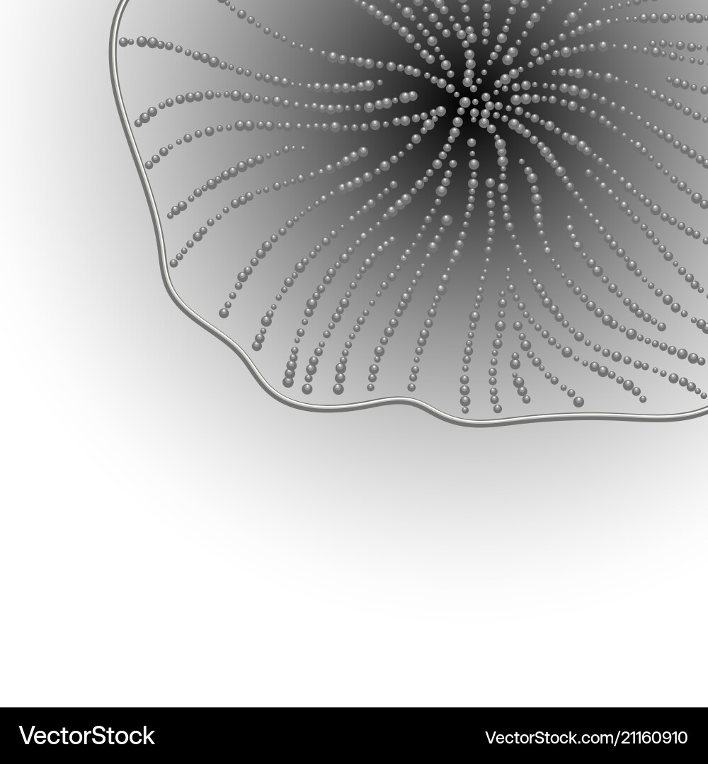 Abstract header design Abstract header design Vector Image