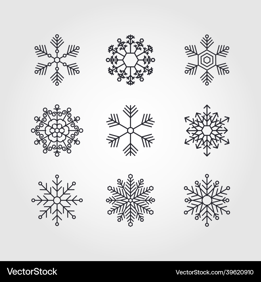 Snowflake winter set of black isolated nine icon Snowflake winter set of black isolated nine icon vector image