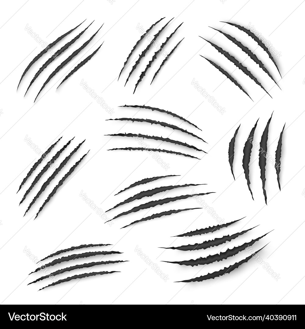 Animal Claw Marks & Scratches vector image