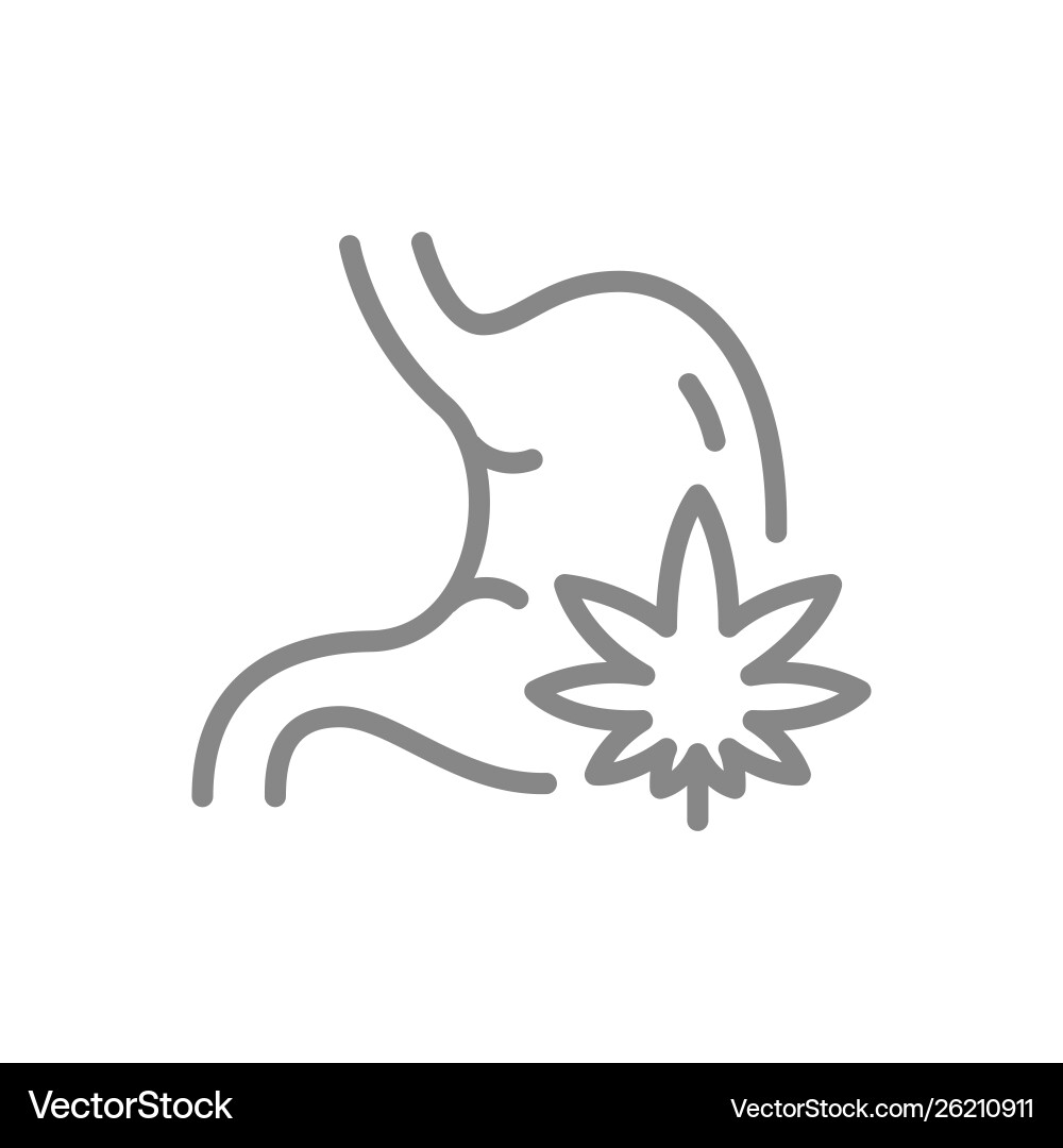 Cannabisblatt mit Magenlinie Ikone Medizin Cannabisblatt mit Magenlinie Ikone Medizin vektorbild