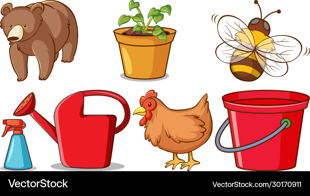 Large set different animals and other objects Large set different animals and other objects vector image