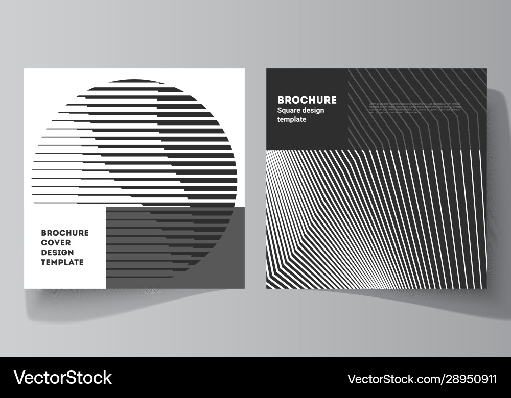 Minimal layout two square format Minimal layout two square format vector image