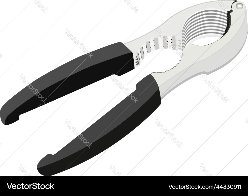 Nut Cracker on White Background vector image