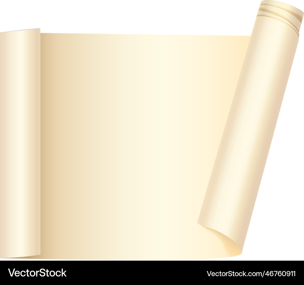 Realistic Paper Scroll vector image