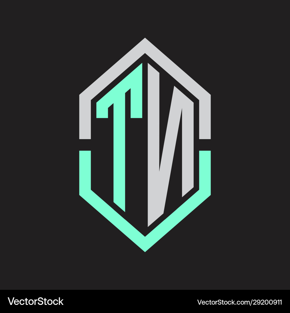 Tn logo monogram with hexagon shape and outline vector image