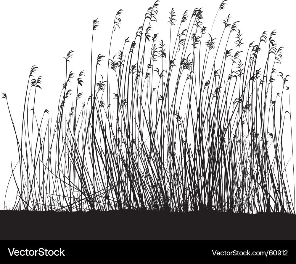 Grass landscape Royalty Free Vector Image - VectorStock