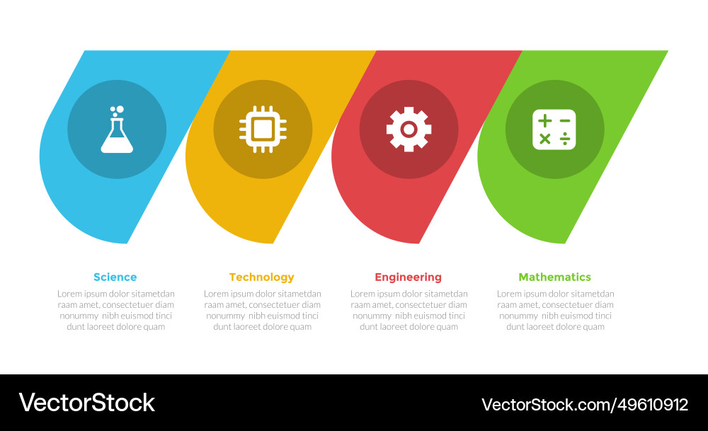 Stem education infographics template diagram Stem education infographics template diagram vector image