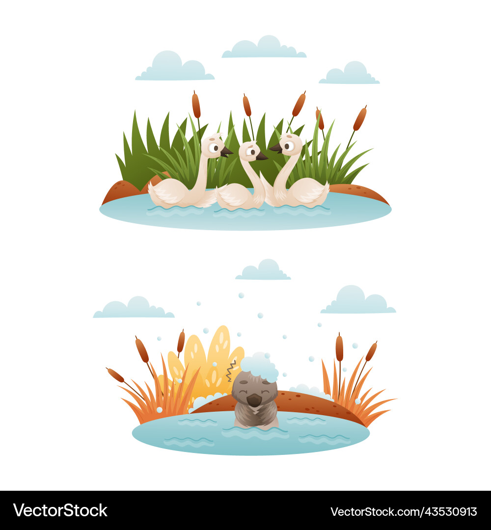 Duck floating in pond with reeds and grey ugly Duck floating in pond with reeds and grey ugly vector image