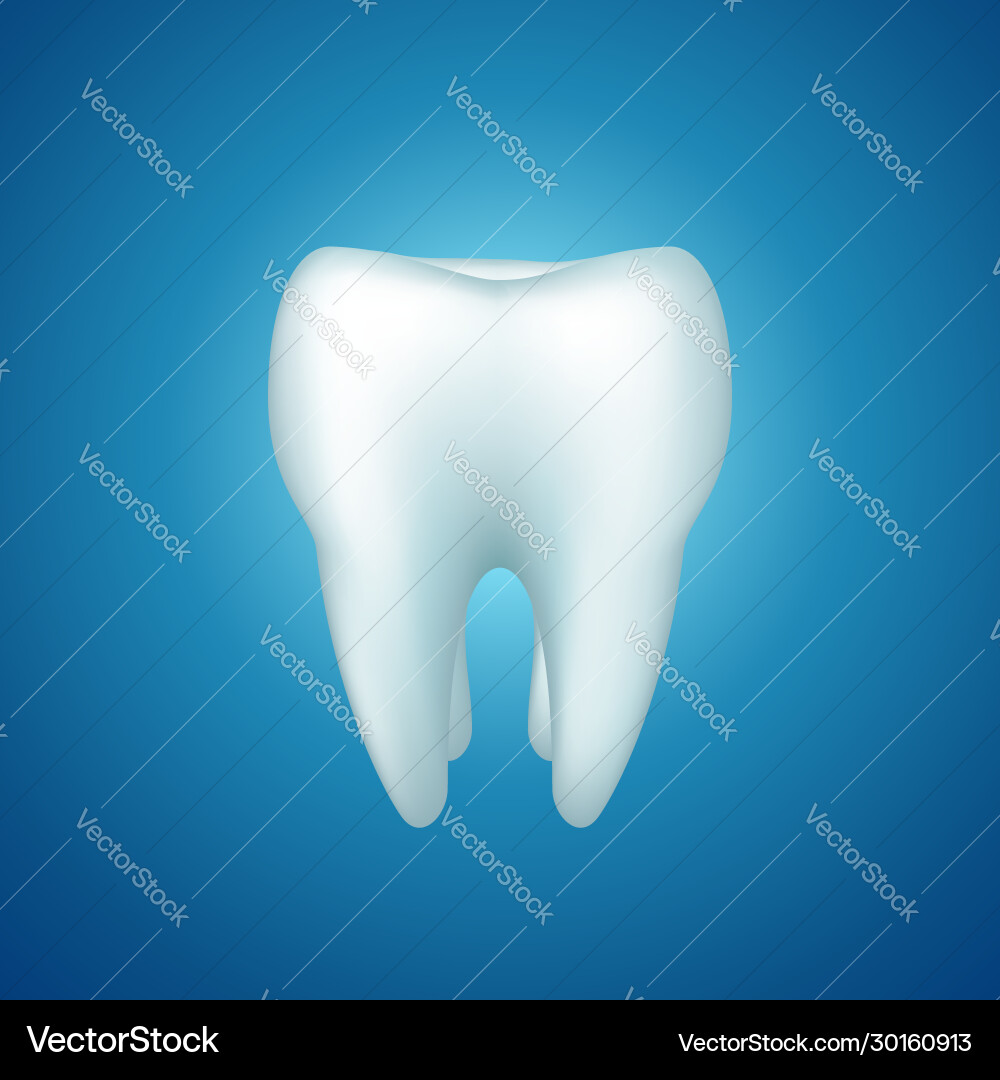 Tooth on blue vector image