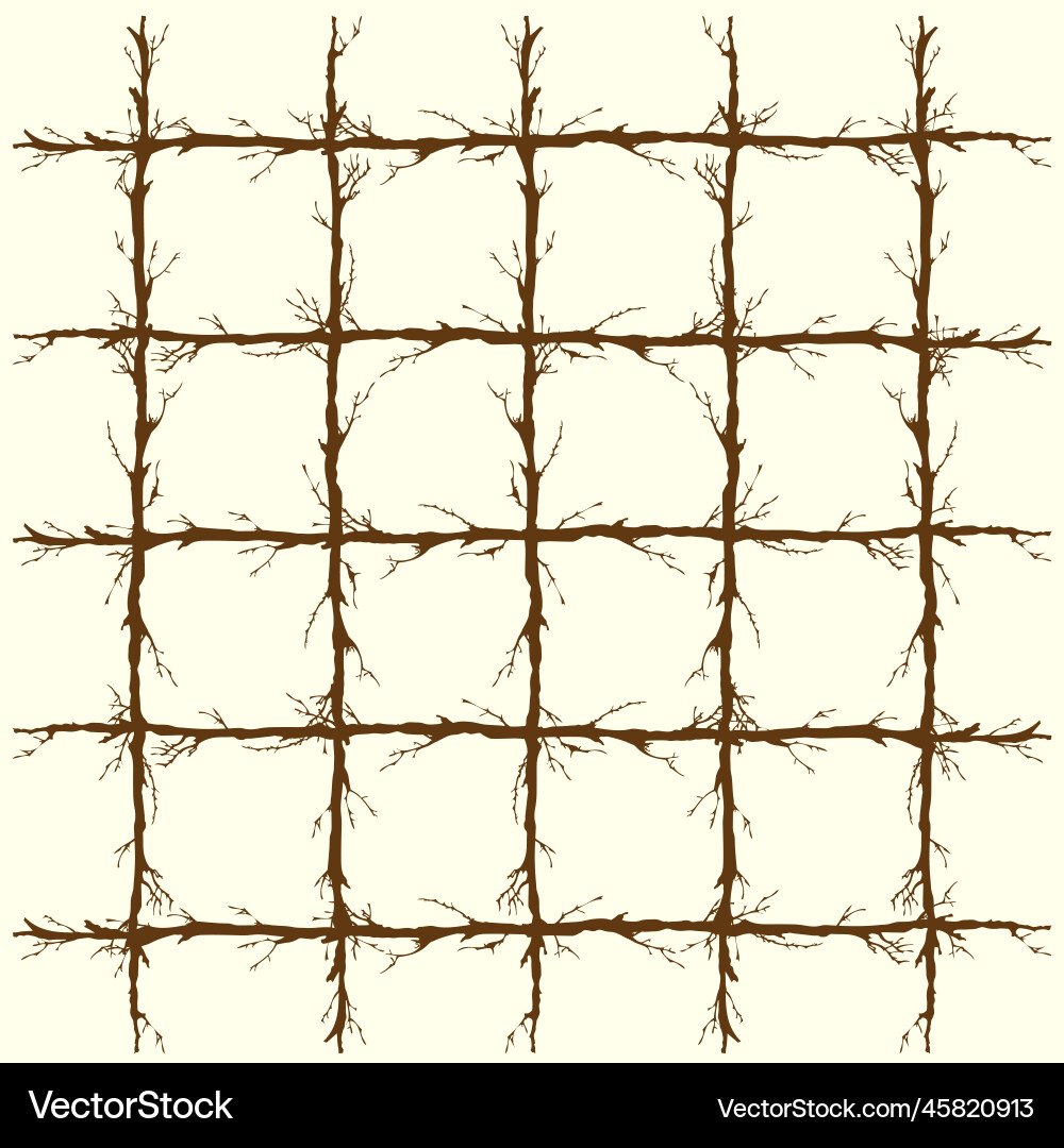 Tree branch line square web Tree branch line square web vector image