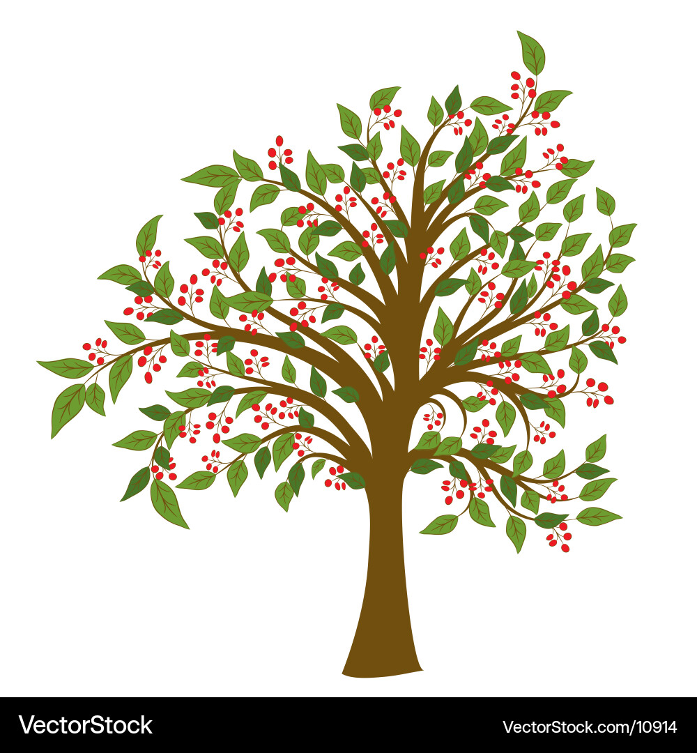 Floral Berry Branch Ornament Vector Image