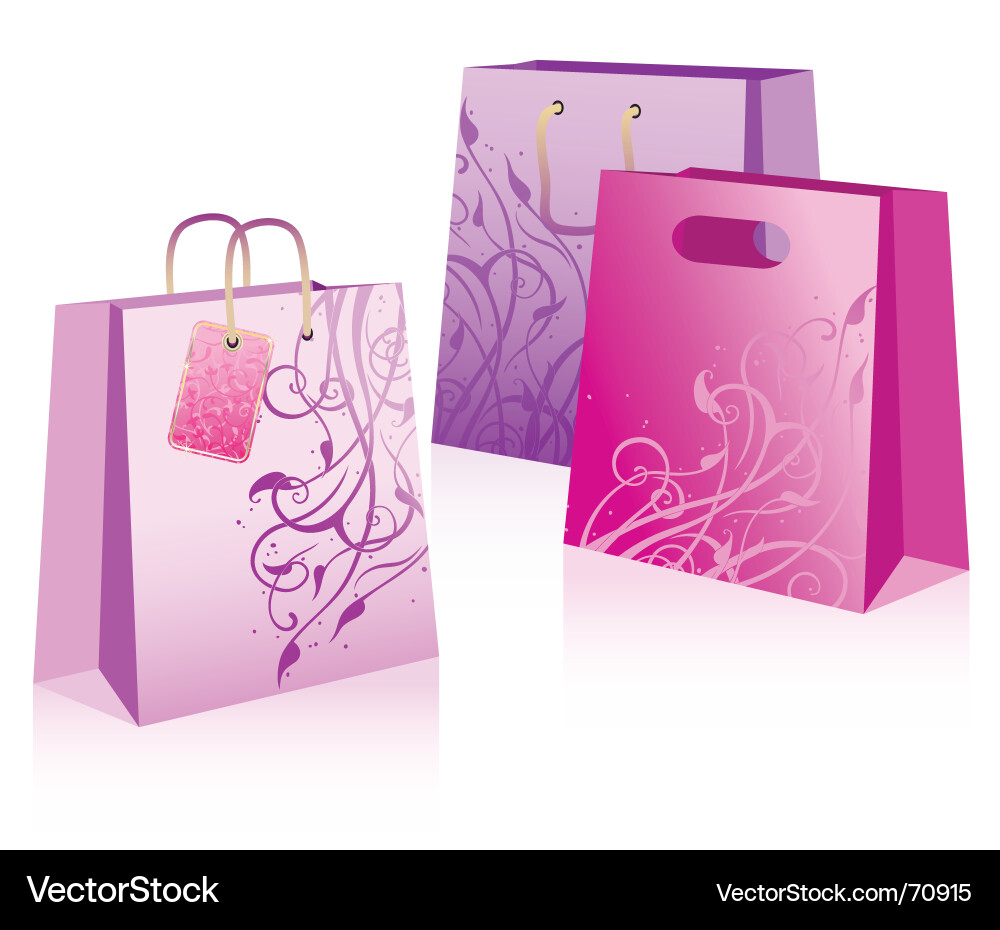 Colorful Shopping Bags Vector Image