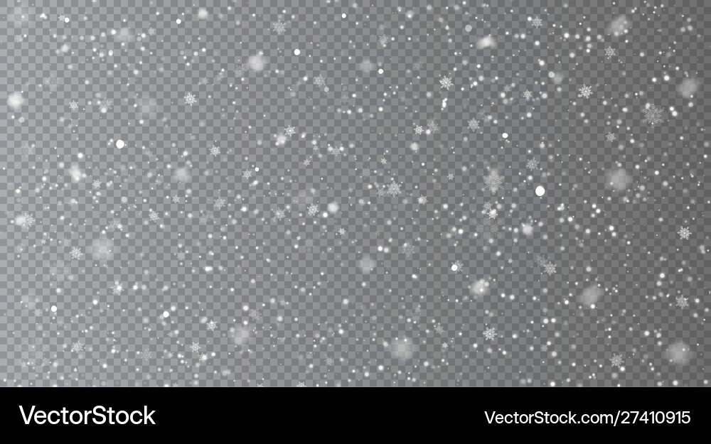 Falling snow overlay background Vector Image