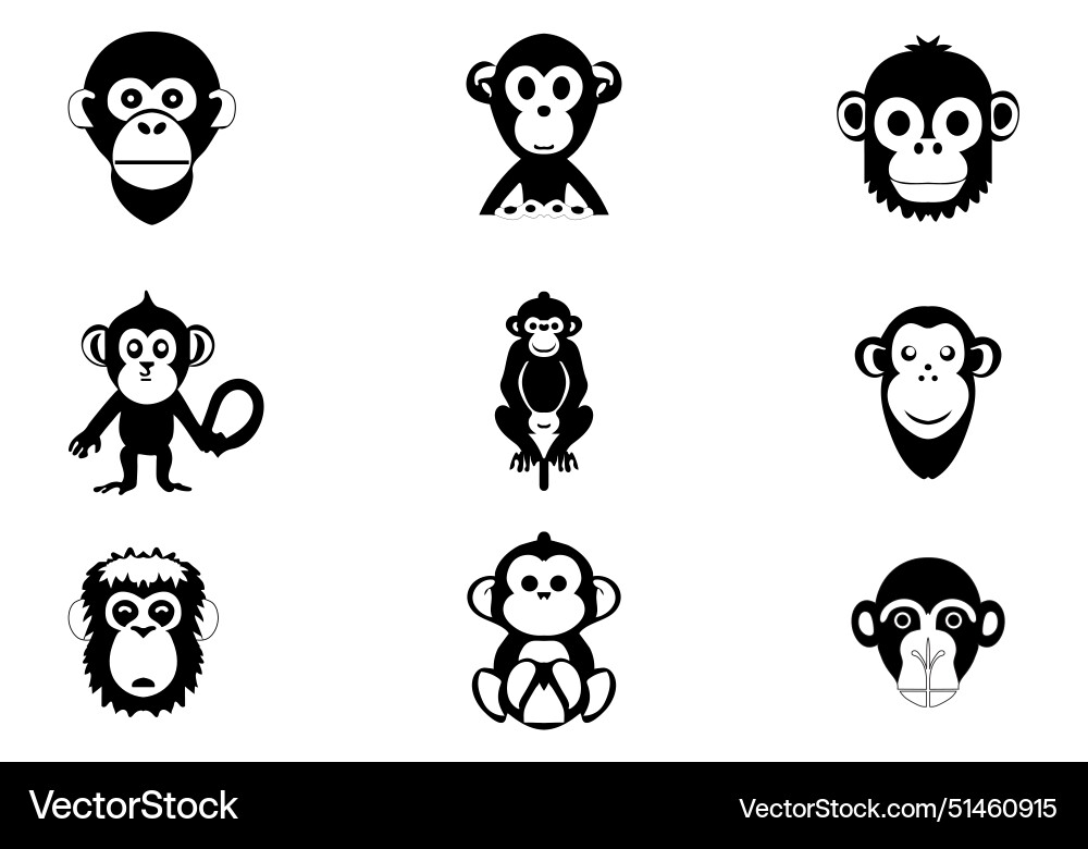 Minimal style monkey icon design Minimal style monkey icon design Vector Image
