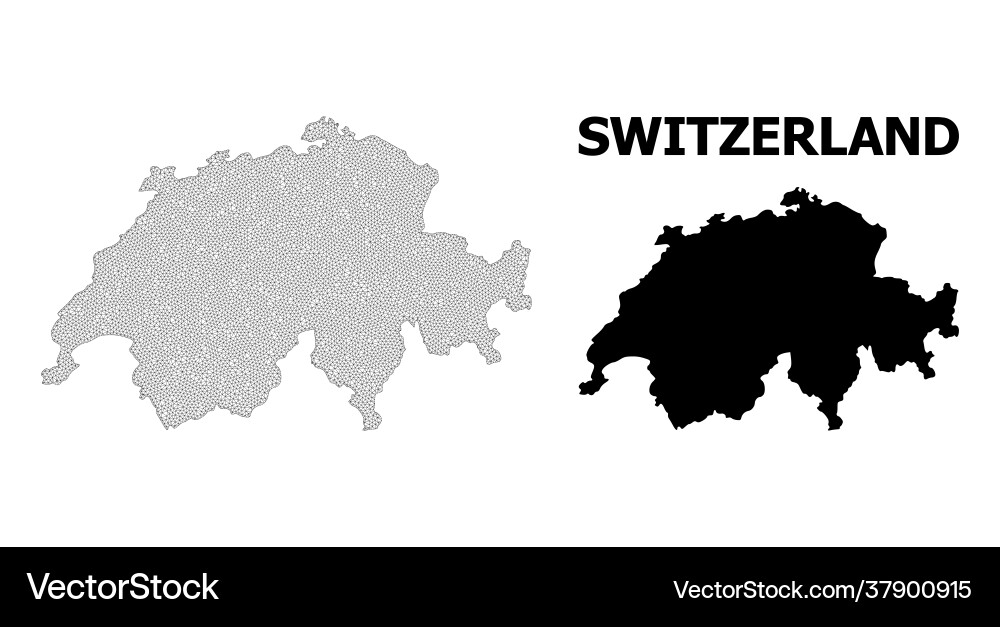 Polygonal network mesh high resolution map Polygonal network mesh high resolution map Vector Image