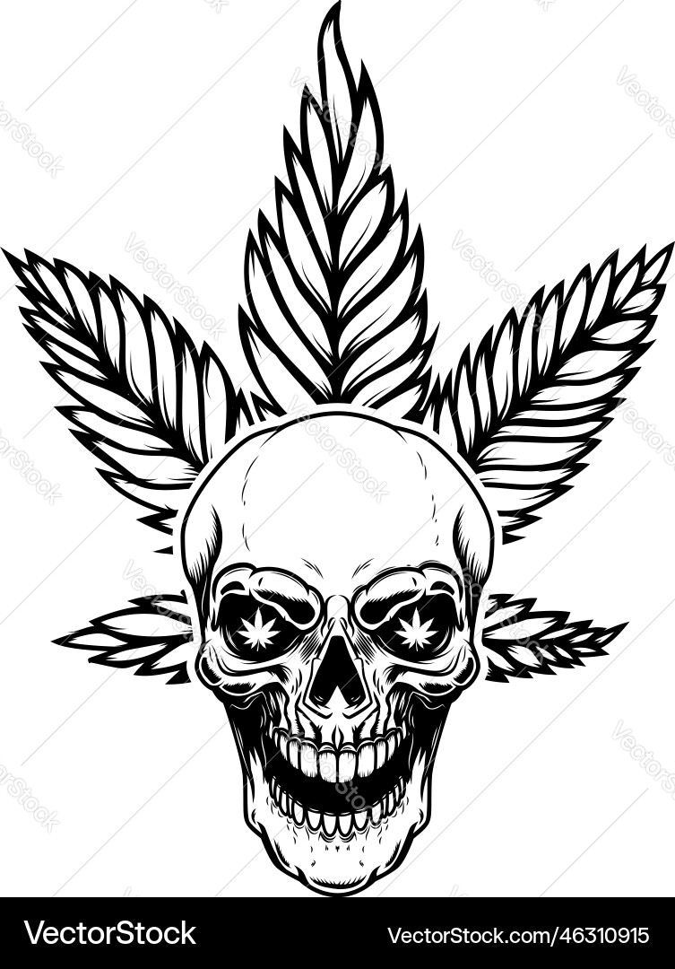 Skull with marijuana leaf design element for logo vector image