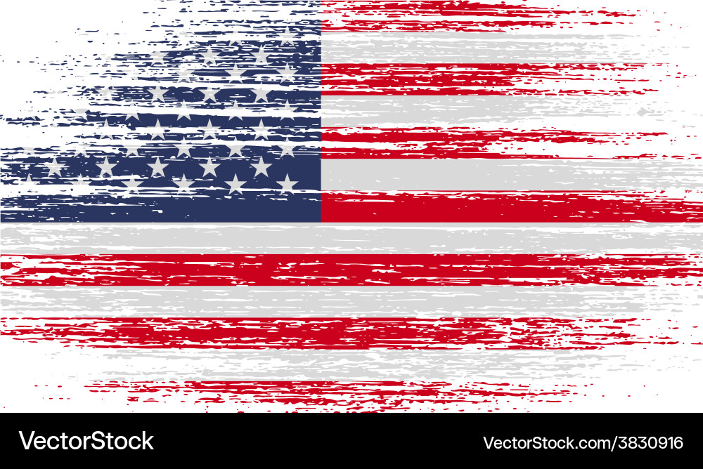 Vintage USA Flag Texture Vector Image