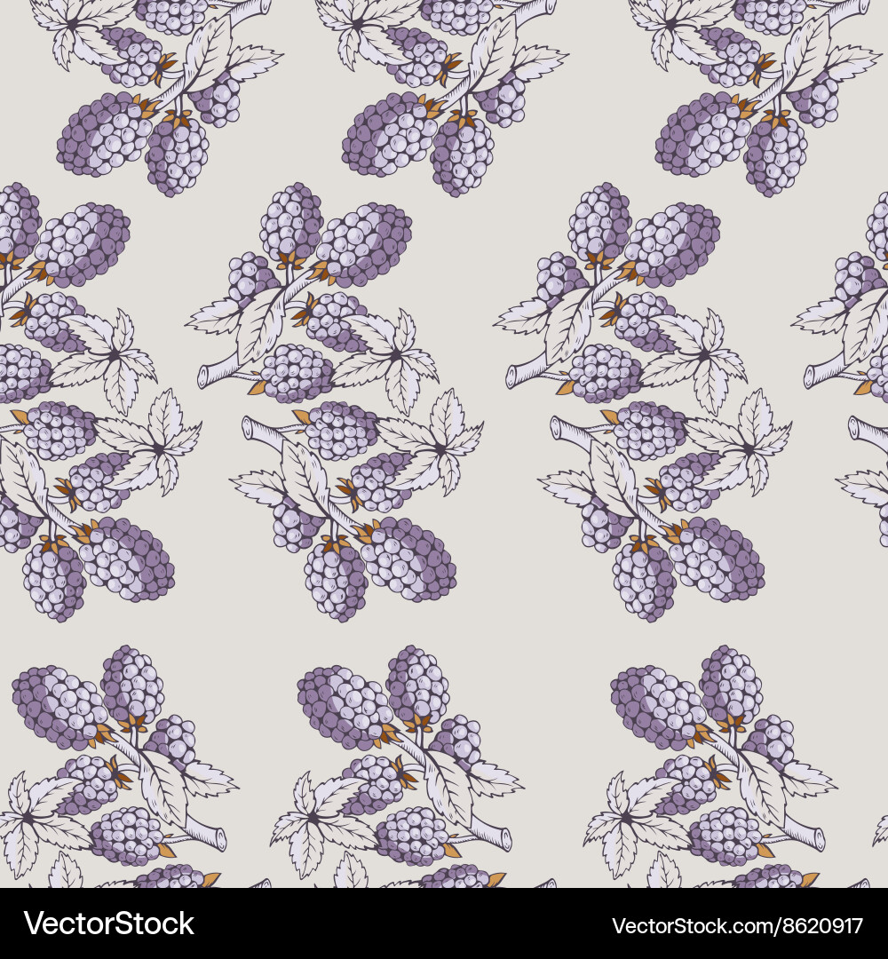 Seamless pattern of blackberry with branch Vector Image